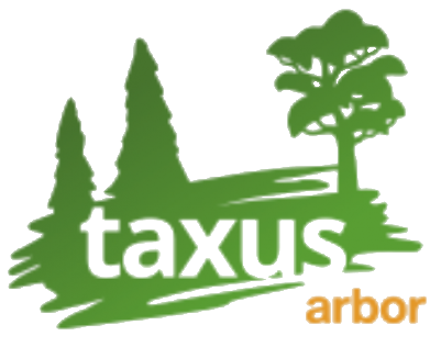 Taxus Arbor