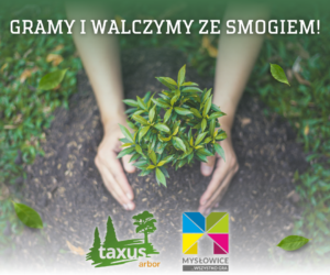 Razem z Taxus Arbor walczymy ze smogiem w Mysłowicach